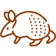Stylized armadillo illustration on black background.